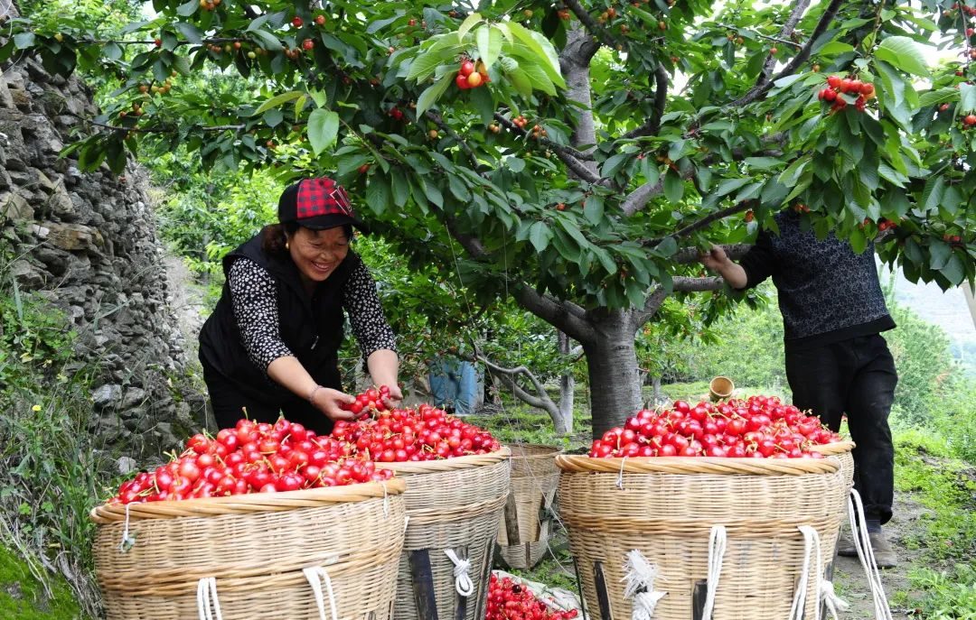 汶川旅游景点十大排行榜,四川旅游推荐汶川