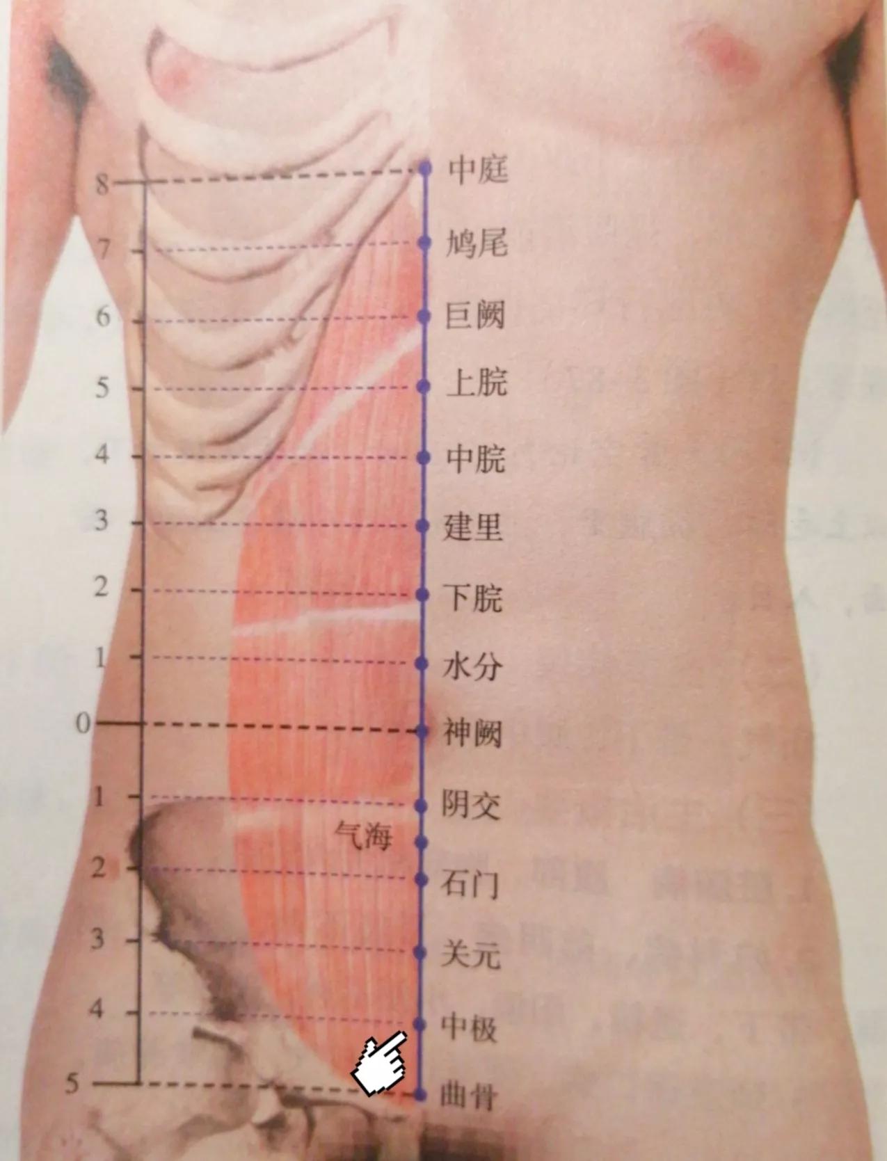 每日一穴库房穴,每日一穴中指穴位
