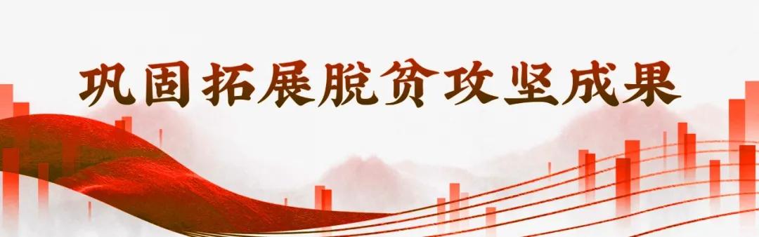 阳光大姐粤语,阳光大姐快乐生活