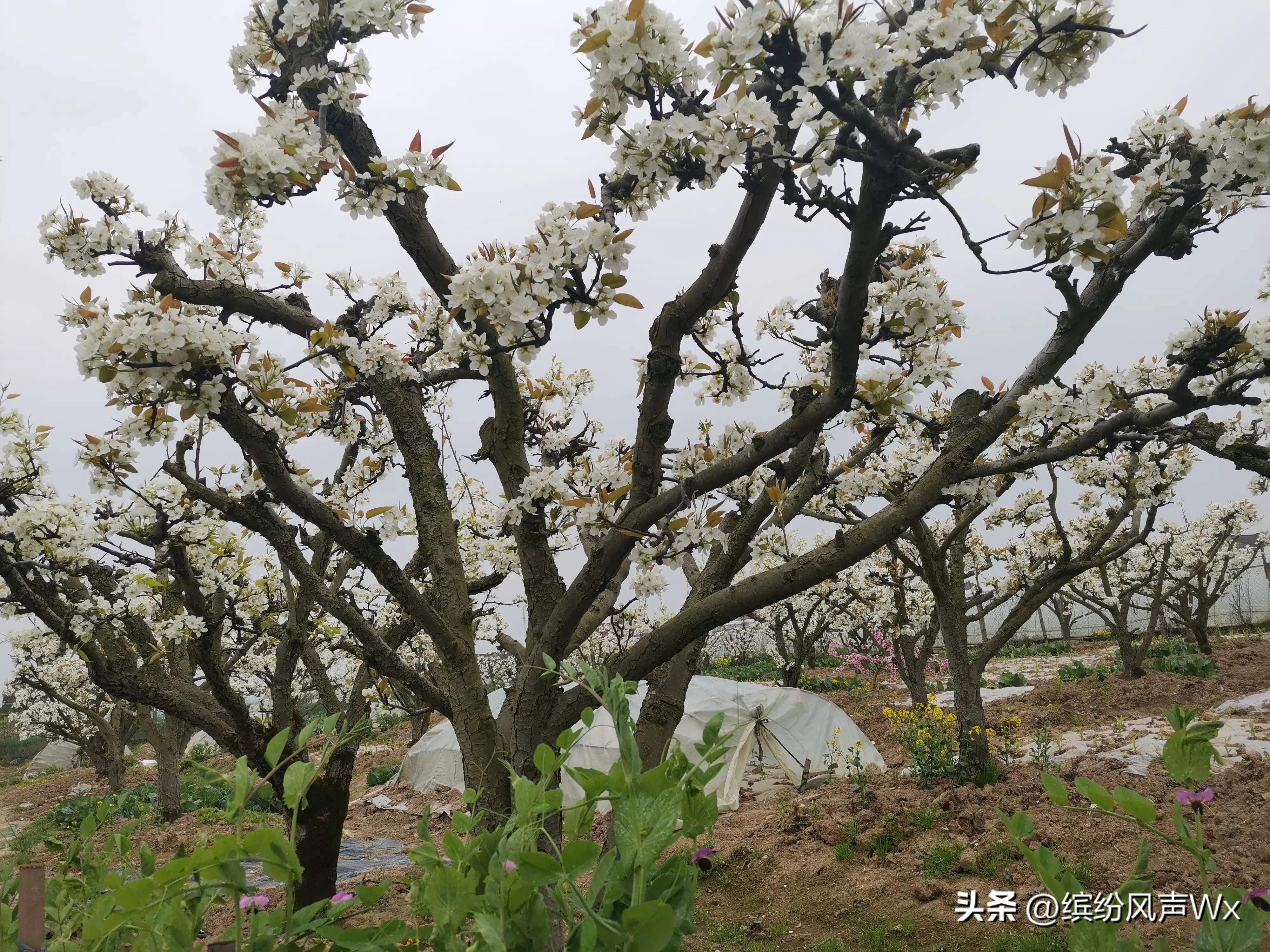 永不落伍的80后,不容易的8090后