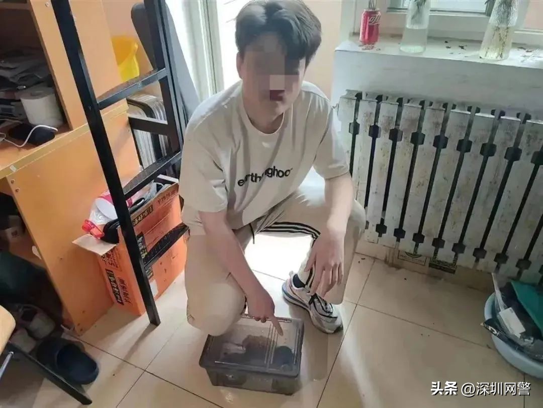 俩小伙网购寄生虫,武汉00后在校学生网购虫子