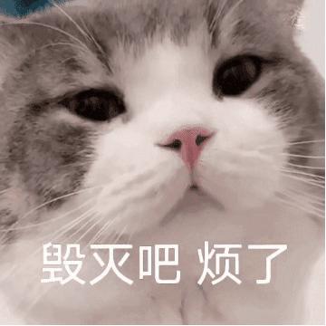 上海学生一身衣服价值127万,上海一学生穿100万衣服真的假的