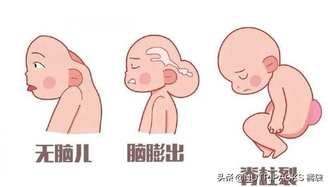 叶酸的营养价值，帮助提升免疫力