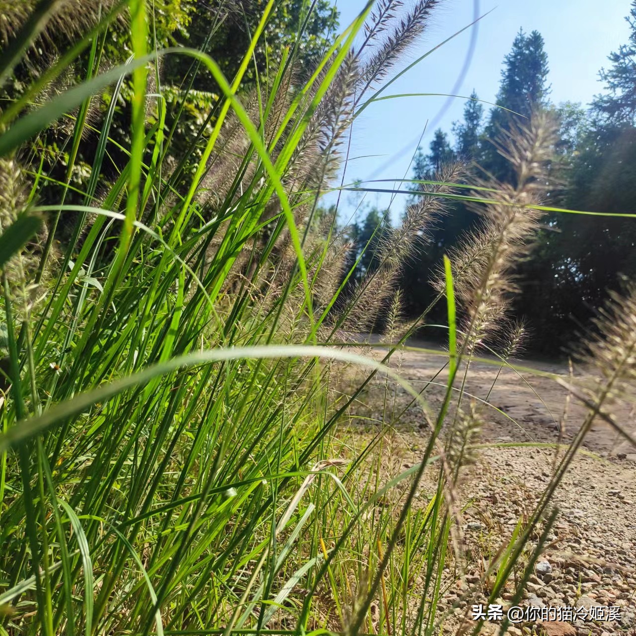 有点心酸难过的文案,总有一句扎心的文案戳到你的心