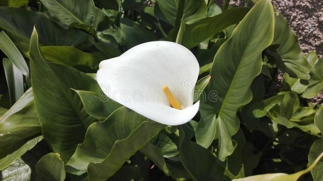 生命在尘世轮回,活着是一场灵魂的修行