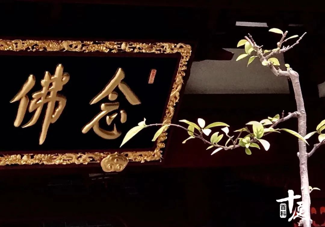 老忍不住发脾气怎么办,梦参老和尚讲不要发脾气