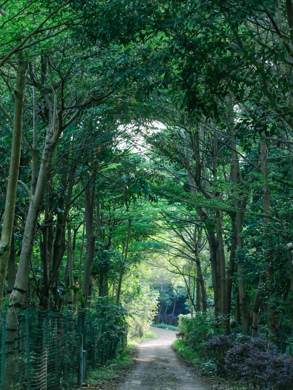 深圳休闲好玩的景点,深圳周末游玩好去处免费