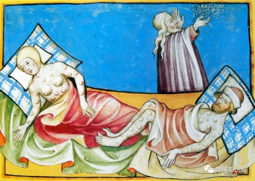 没洗干净的猪大肠到底臭不臭,猪大肠3年没洗是真的吗