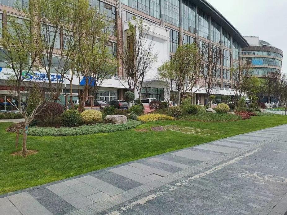 口袋公园生态美景,口袋公园小景观