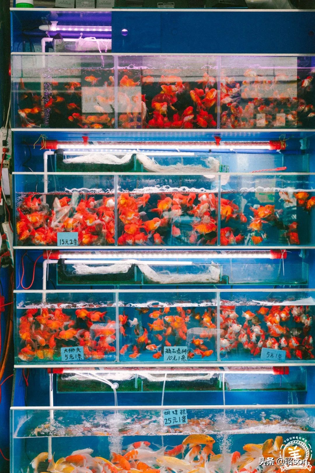 广州清平市场哪家好,清平市场攻略