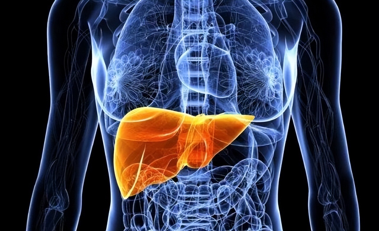 风湿痹阻辨证分析,风湿热痹的中医辨证分析