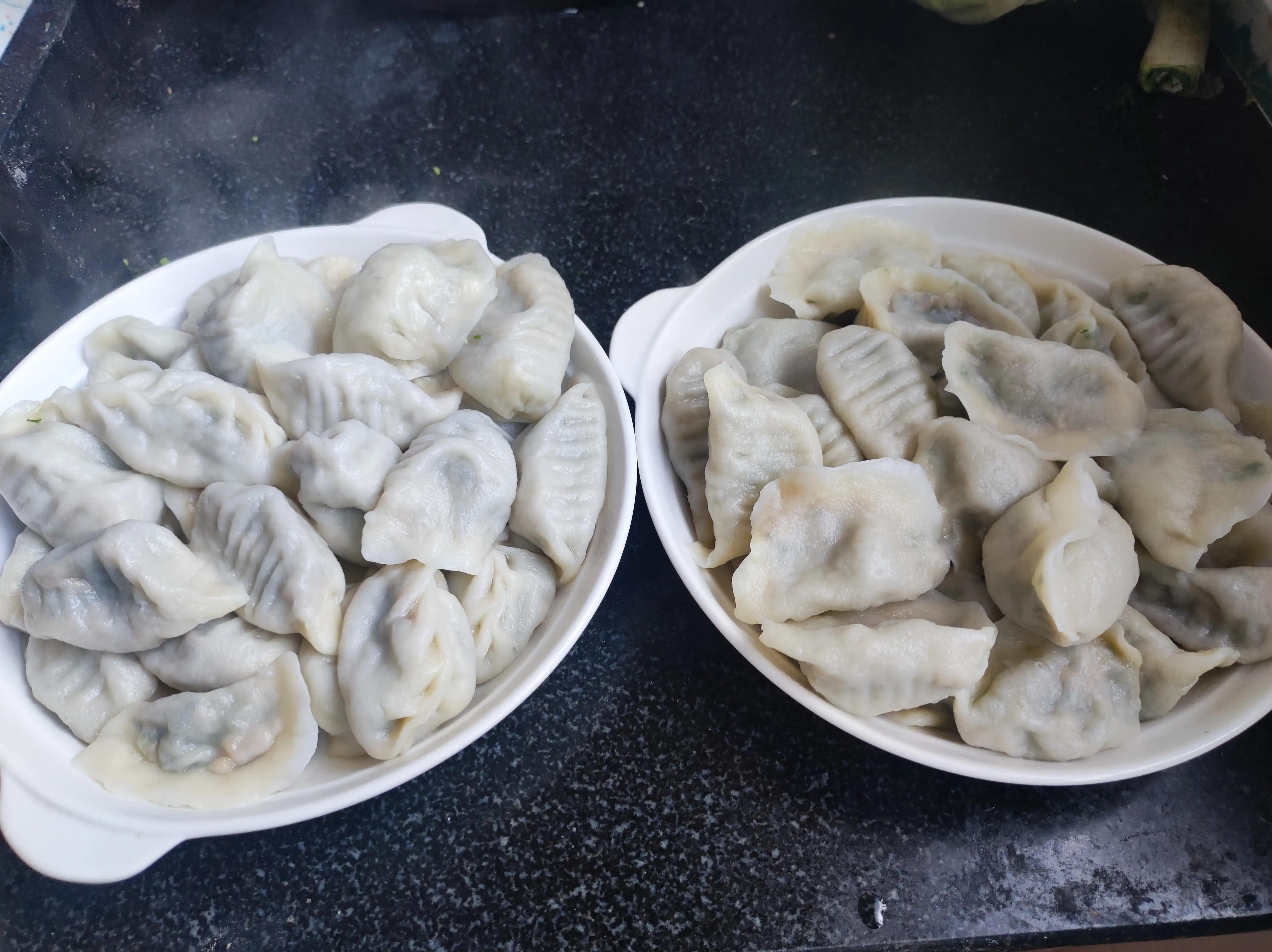 茴香素馅儿饺子,茴香馅儿的素饺子怎么包