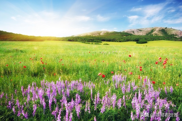 怎么快速又高效地学习英语,零基础如何系统地学习英语