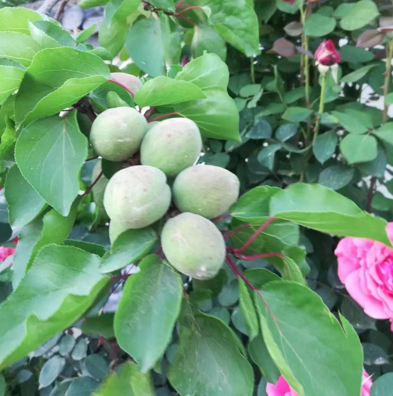 00后小伙开脱单便利店,90后小伙创业开超市