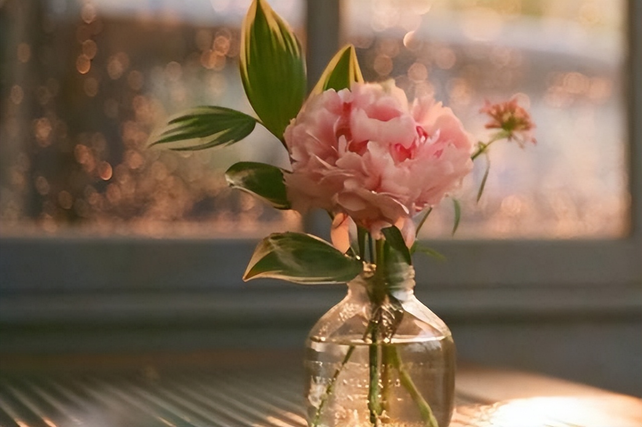 女人没钱时怎么对自己好,女人越来越没钱