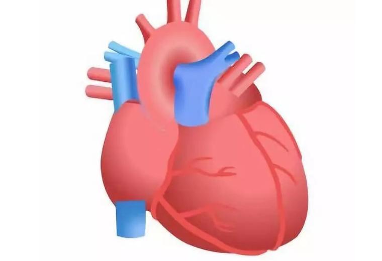 溶血链球菌引起风湿可以根治吗,风湿热溶血性链球菌