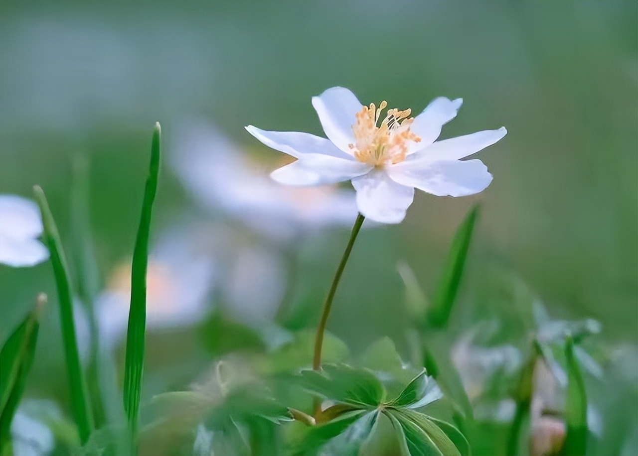 为何越来越多人退出同学群,退出同学群后的人会越来越少吗