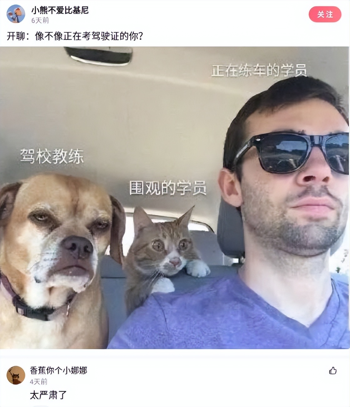 “这真的是林志玲吗？我怎么看着越来越像日本贵妇了？”哈哈哈