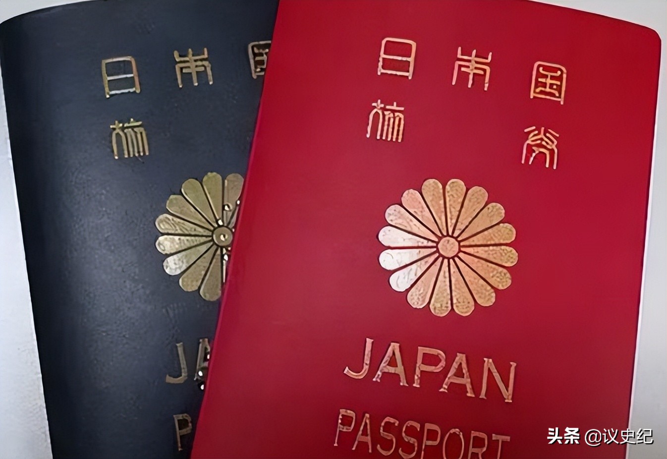 1米9女篮运动员,女篮1米95国手