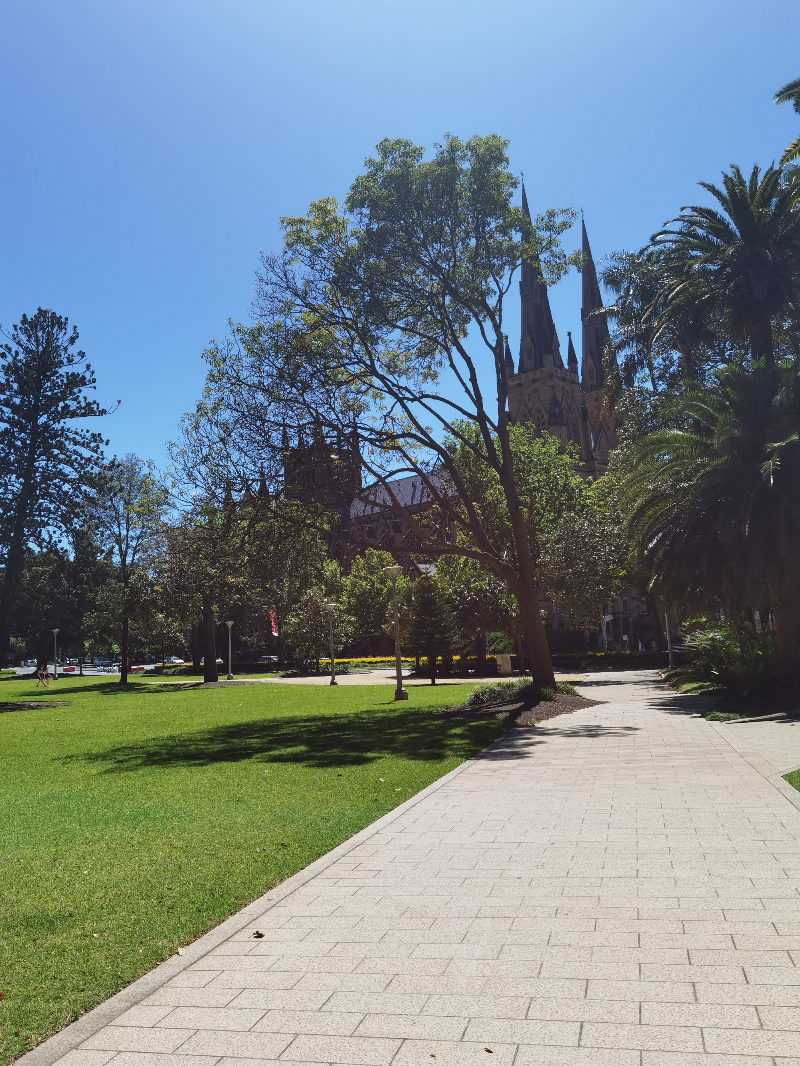 悉尼四天自由行,意犹未尽韩语版