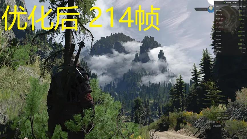 巫师3狂猎switch怎么调帧数,巫师3次世代3060画质最佳配置
