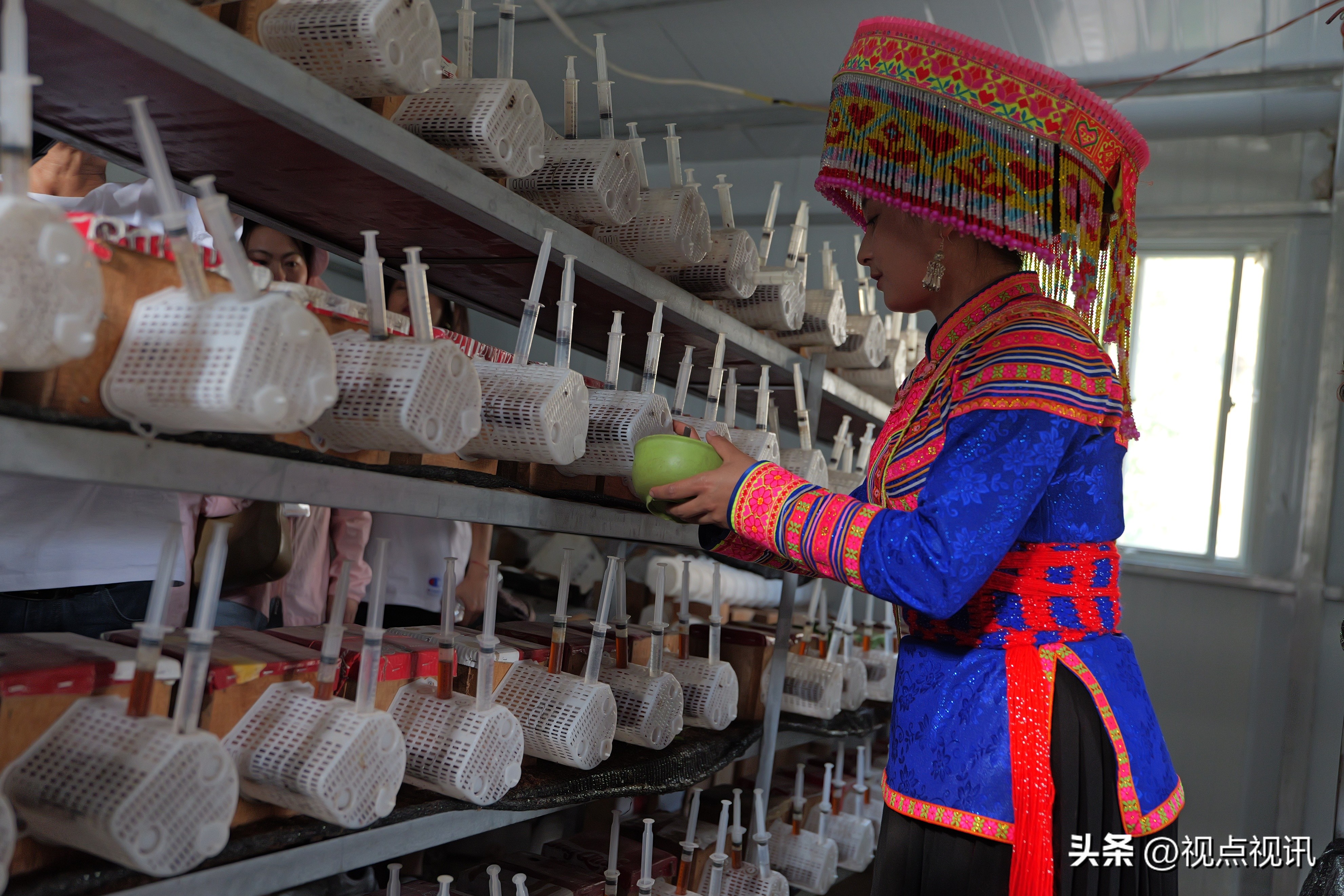 走进西吉看乡村振兴,乡村振兴看进贤罗溪