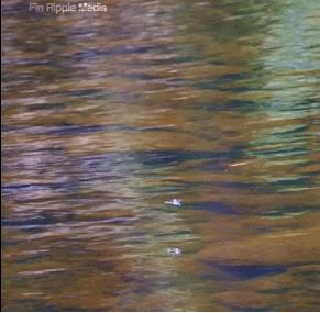 80年代消失的老物件跟食品,80年代农村夏天用的老物件