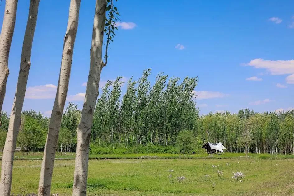 北京昌平免费露营地可以开车,昌平沙河露营地推荐烧烤