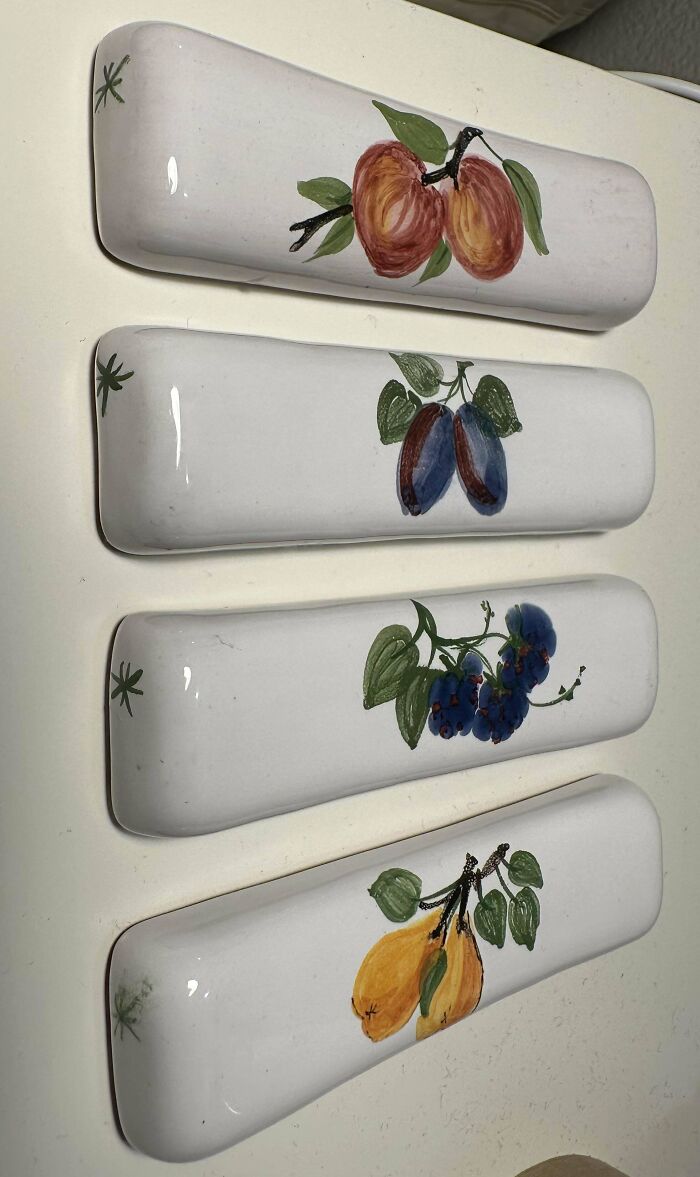 鉴定网上的奇特生物,鉴定神秘生物视频