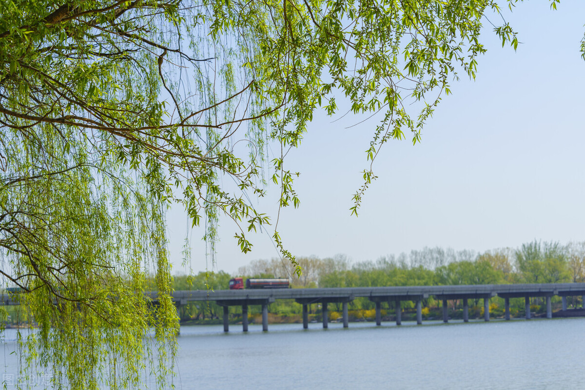 折柳寄情来自哪首古诗词,折柳寄深情