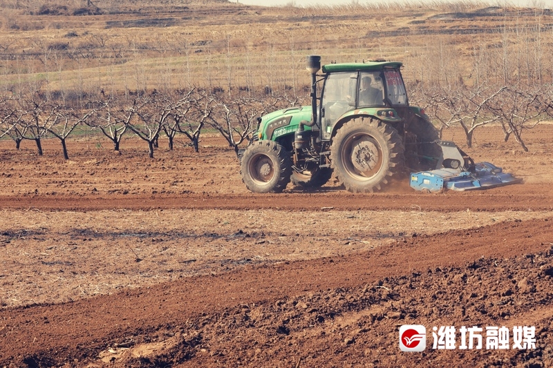 异地补换身份证需要准备什么材料,广东身份证过期可以网上补换吗