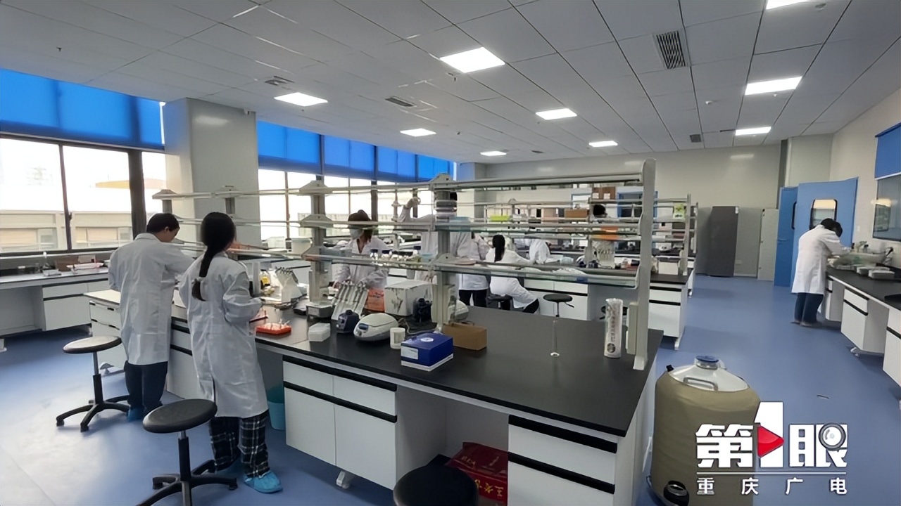 重庆稳就业重点工作 (重庆四月份就业形势)