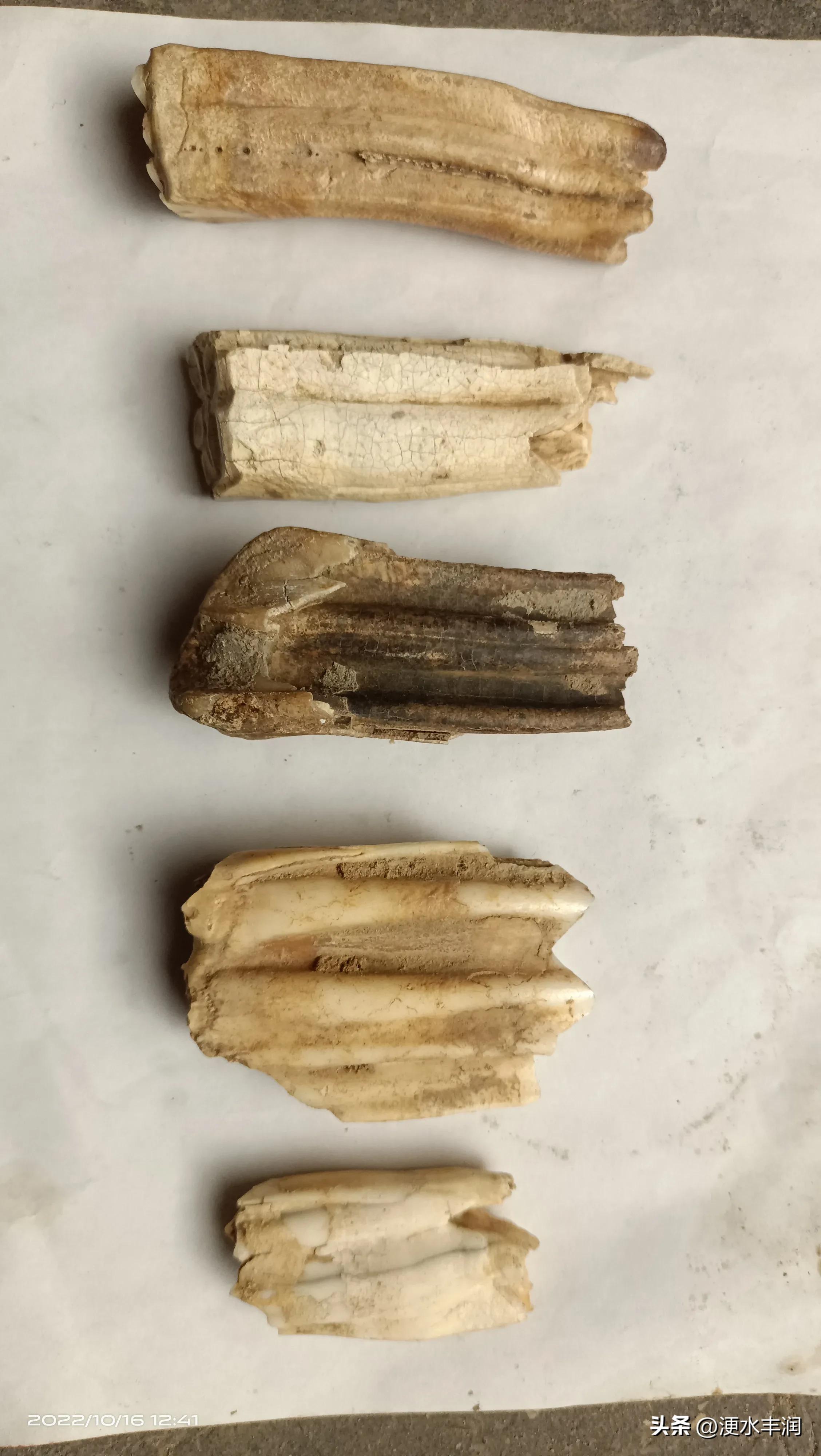 唐山的史前遗址,唐山制陶历史文化