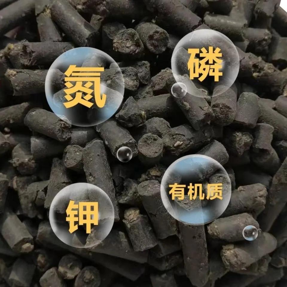 紫藤花成都周边,成都1号桥紫藤花