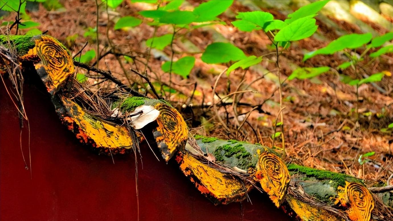 福建省福州市几个区,中国34个省级行政区域教学视频
