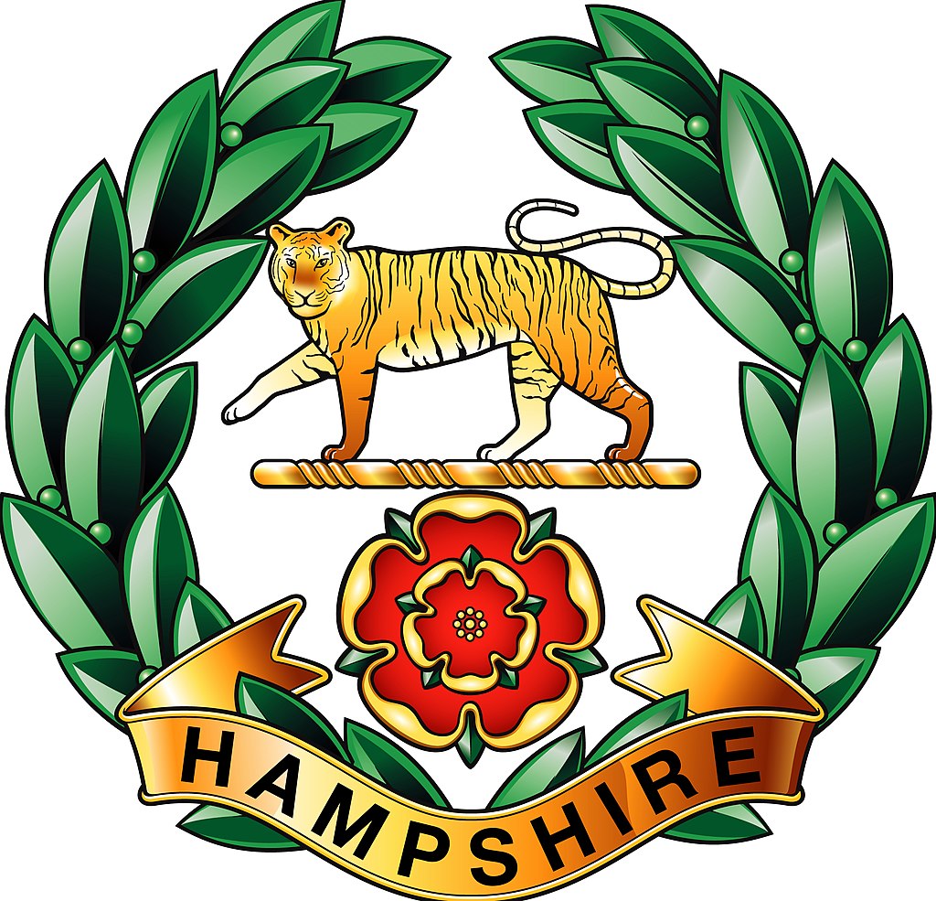 虎年说虎的文章,虎年限定分别代表的老虎