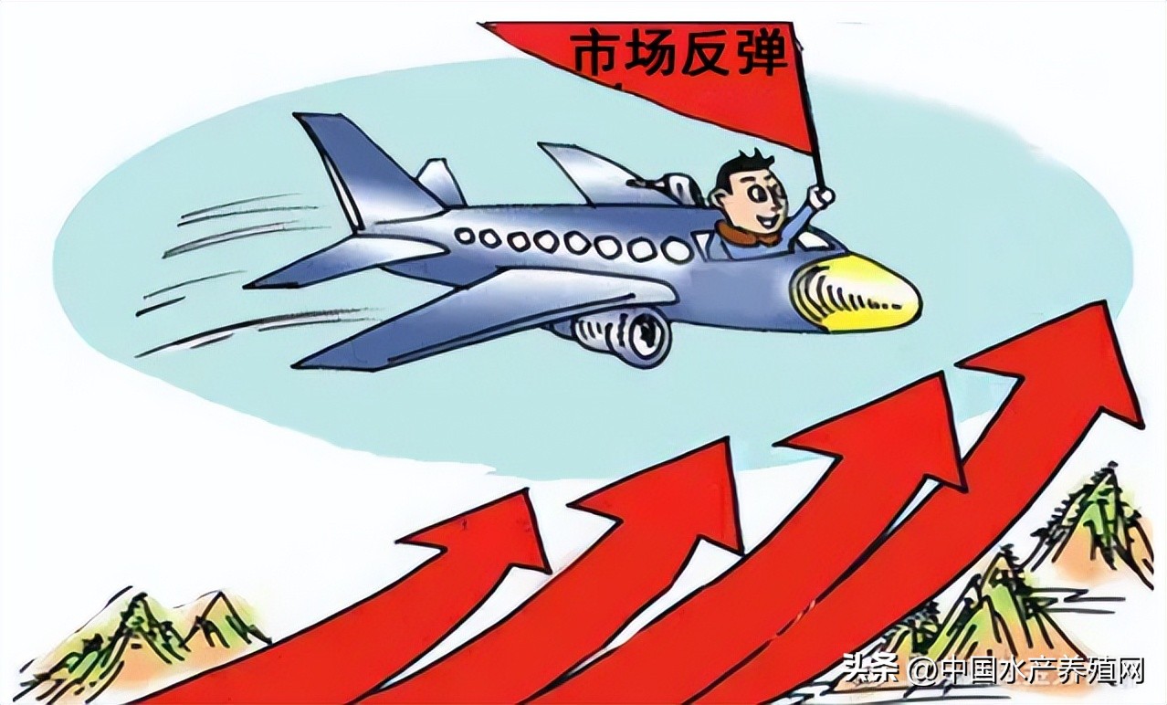 今年还可以养鱼吗,今年养鱼亏了明年还要养吗