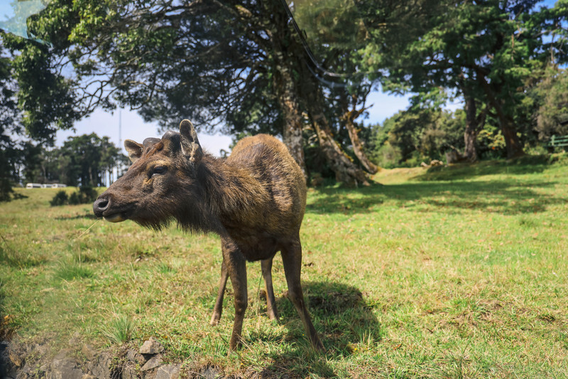 斯里兰卡旅游攻略必去景点,斯里兰卡旅游攻略最佳时间