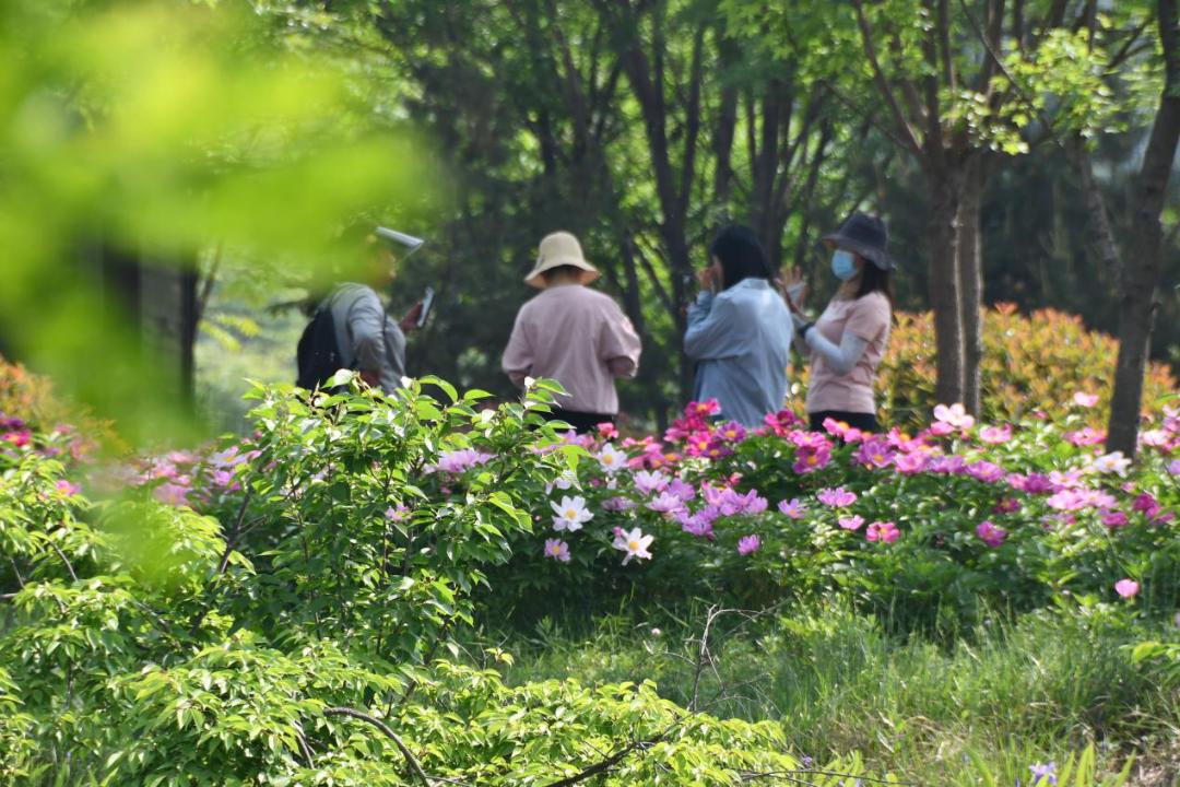 许昌人周末游玩,许昌人去哪景区免门票