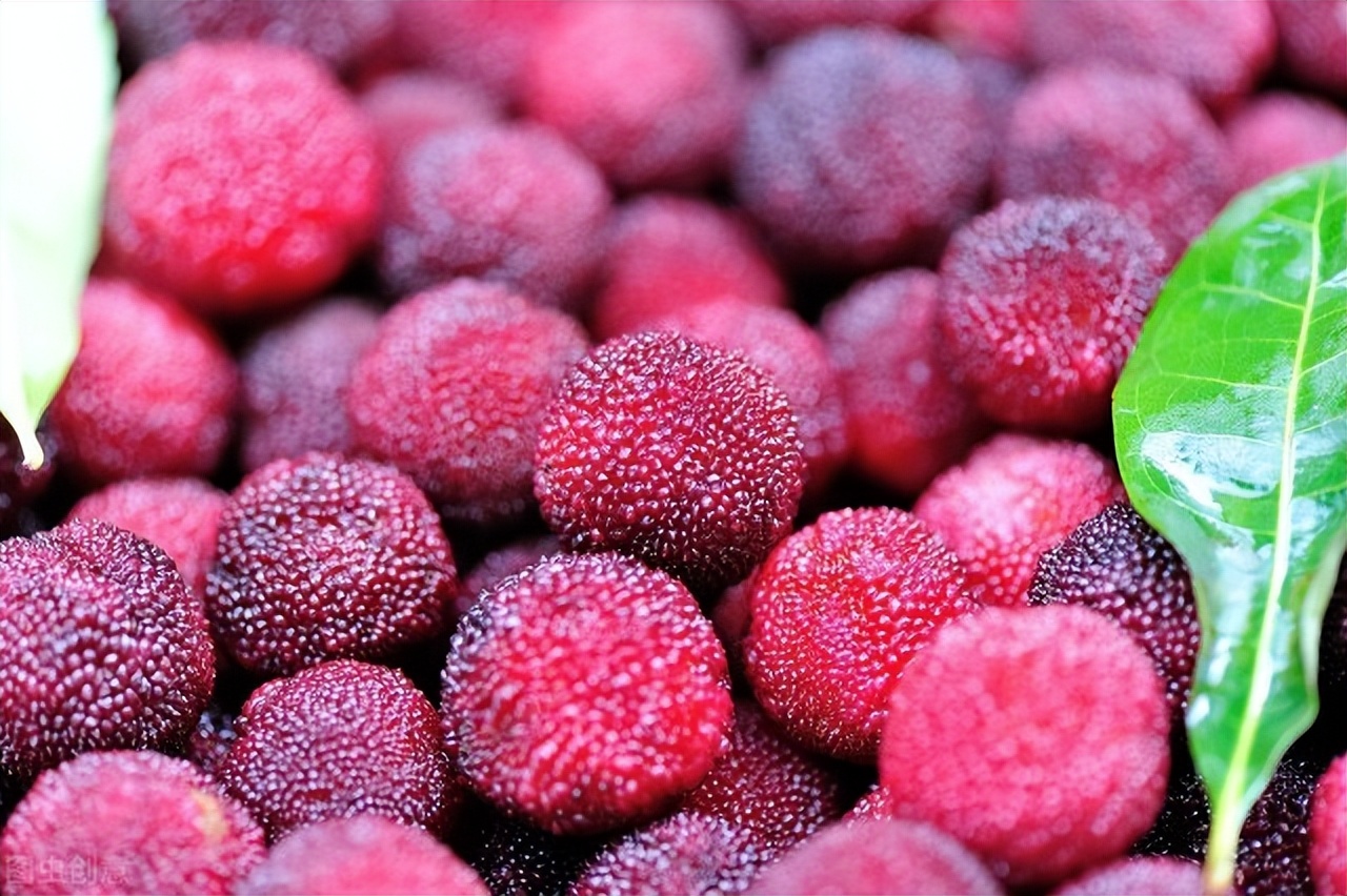 夏季，这5种水果建议多吃，清润润肠防暑热，神清气爽度夏天