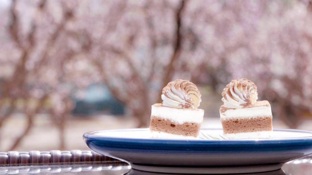 忠良书院优惠,忠良书院预订