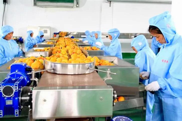 中国十大冷门暴利行业有哪些,海南海口冷门暴利的行业