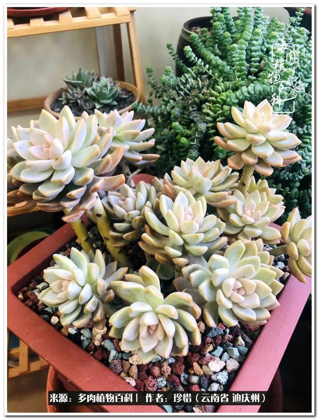 给生命一份淡然还岁月一份从容,给生命留一份洒脱的话