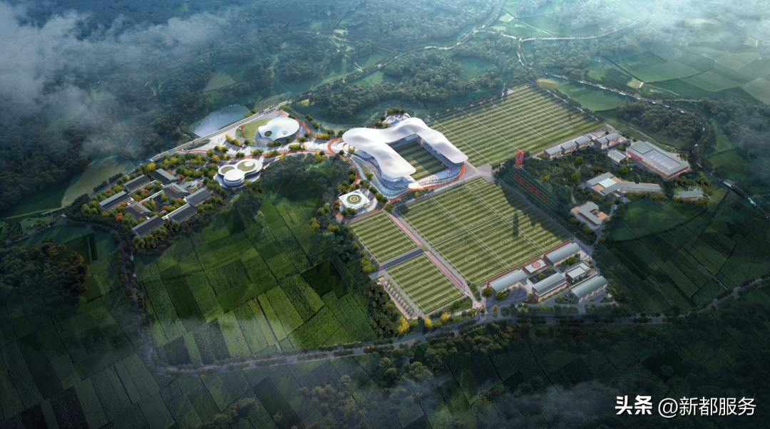 新都足球公园,新都最大的足球公园