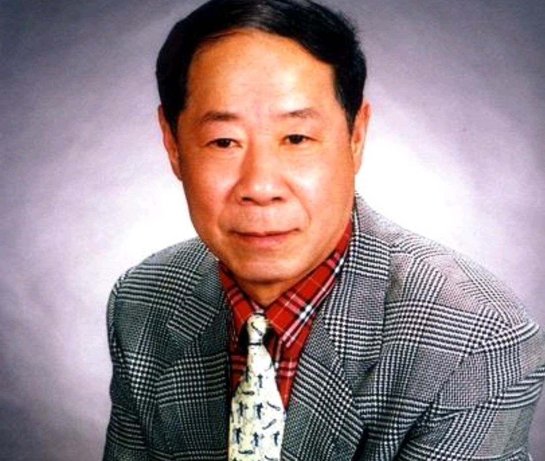 张炳厚医术怎么样,医林怪杰张炳厚在线阅读