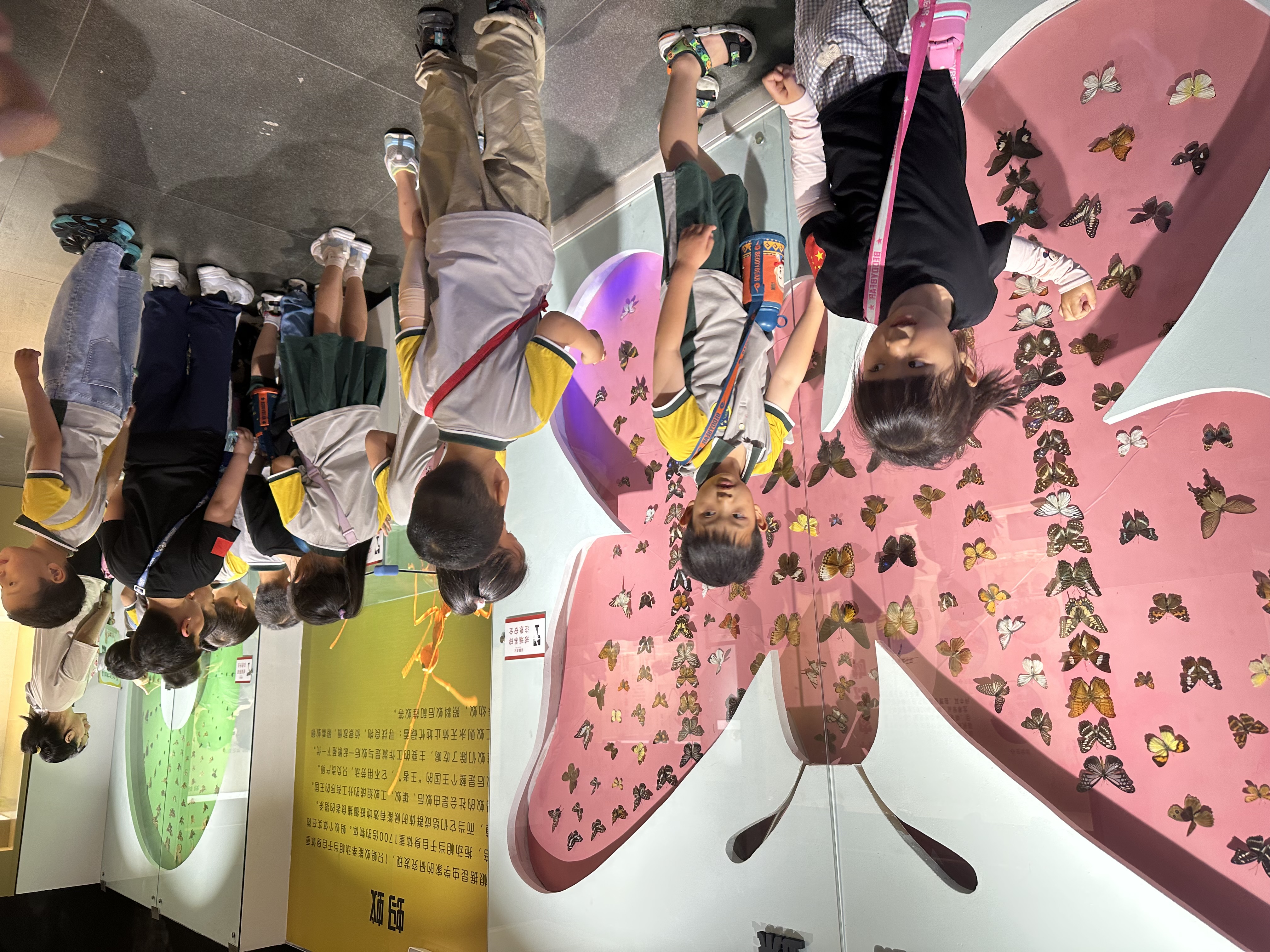 端午节郑州周边避暑游玩推荐景点,端午郑州附近游玩景点推荐一日游