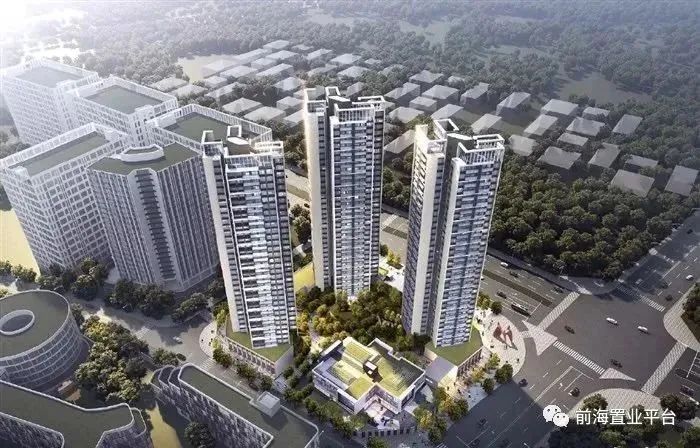 买房子是为了孩子的教育吗,沙井鸿荣源哪个学区