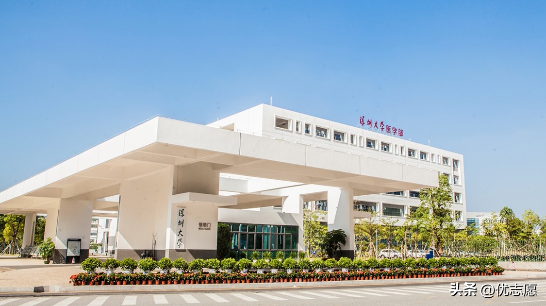 2023年深圳大学硕士研究生招生分析来啦，报考前可以了解