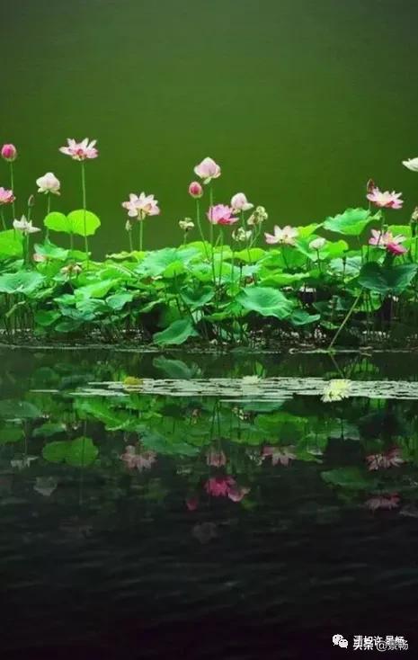 自己只管努力其他一切顺其自然,你只管做自己一切都是最好的安排