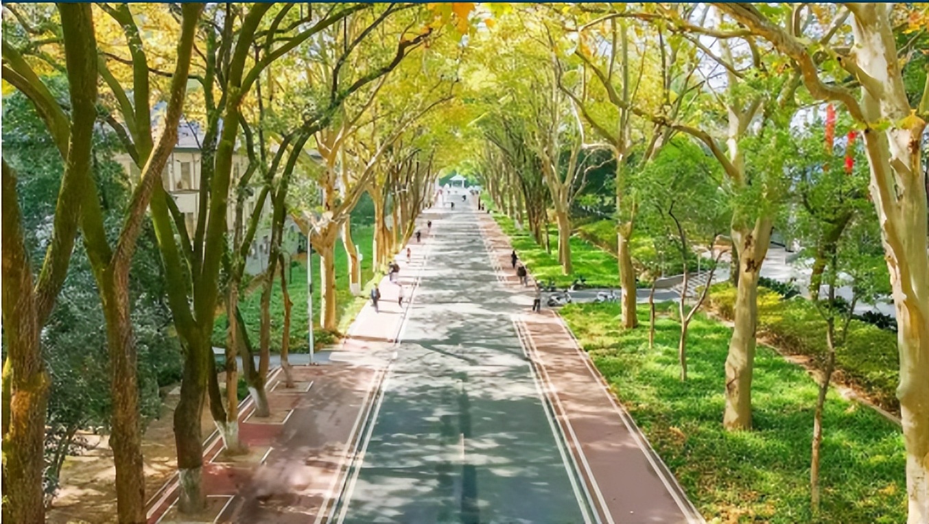 高考学子邀请函,高考倒计时50天欢迎报考